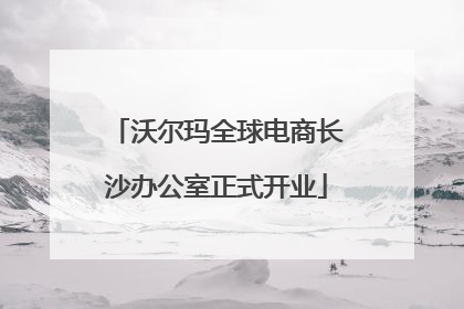 沃尔玛全球电商长沙办公室正式开业