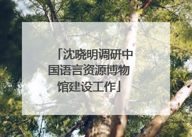 沈晓明调研中国语言资源博物馆建设工作