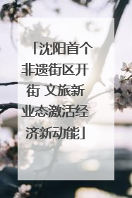沈阳首个非遗街区开街 文旅新业态激活经济新动能