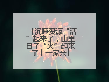 沉睡资源“活”起来了，山里日子“火”起来了丨一家亲