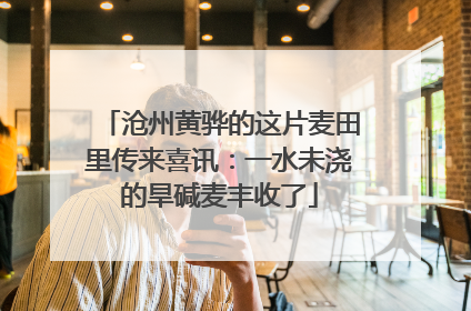 沧州黄骅的这片麦田里传来喜讯：一水未浇的旱碱麦丰收了