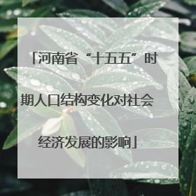 河南省“十五五”时期人口结构变化对社会经济发展的影响