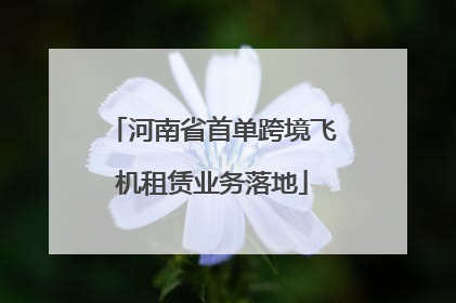 河南省首单跨境飞机租赁业务落地