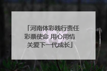 河南体彩践行责任彩票使命 用心用情关爱下一代成长