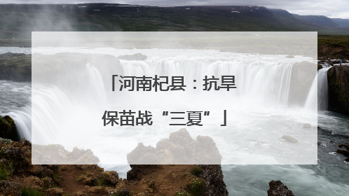 河南杞县：抗旱保苗战“三夏”