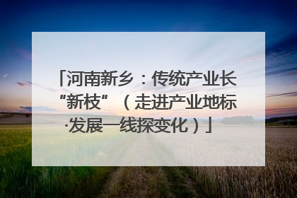 河南新乡：传统产业长“新枝”（走进产业地标·发展一线探变化）