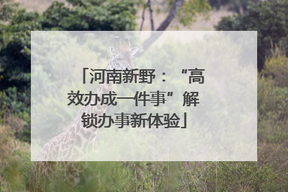 河南新野：“高效办成一件事”解锁办事新体验