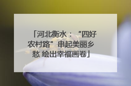 河北衡水：“四好农村路”串起美丽乡愁 绘出幸福画卷