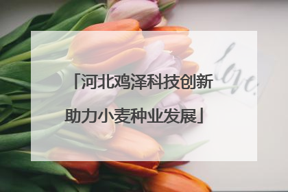 河北鸡泽科技创新助力小麦种业发展