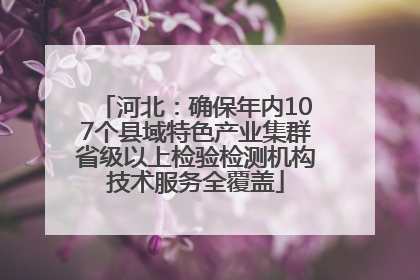河北：确保年内107个县域特色产业集群省级以上检验检测机构技术服务全覆盖