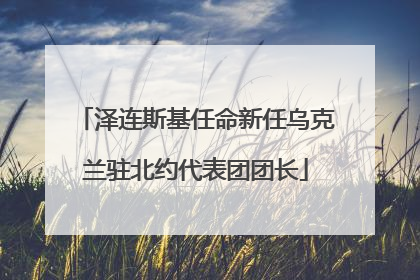 泽连斯基任命新任乌克兰驻北约代表团团长
