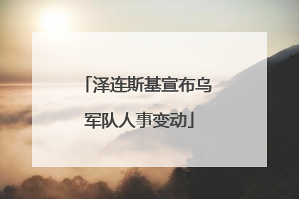 泽连斯基宣布乌军队人事变动