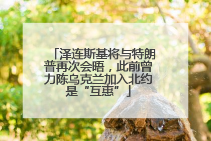 泽连斯基将与特朗普再次会晤，此前曾力陈乌克兰加入北约是“互惠”