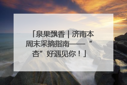 泉果飘香｜济南本周末采摘指南——“杏”好遇见你！