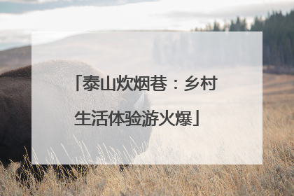 泰山炊烟巷：乡村生活体验游火爆