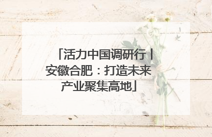 活力中国调研行丨安徽合肥：打造未来产业聚集高地