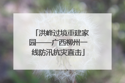 洪峰过境重建家园——广西柳州一线防汛抗灾直击