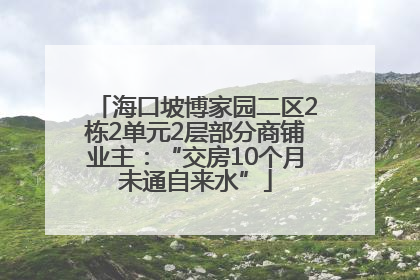 海口坡博家园二区2栋2单元2层部分商铺业主：“交房10个月未通自来水”