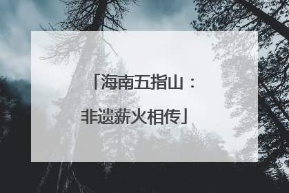 海南五指山：非遗薪火相传