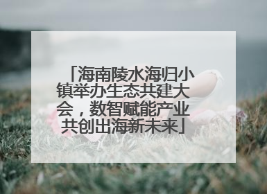 海南陵水海归小镇举办生态共建大会，数智赋能产业共创出海新未来