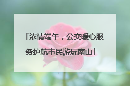 浓情端午，公交暖心服务护航市民游玩南山