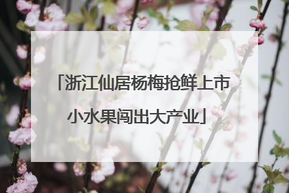 浙江仙居杨梅抢鲜上市 小水果闯出大产业
