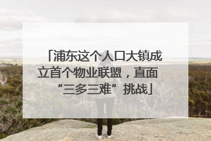 浦东这个人口大镇成立首个物业联盟，直面“三多三难”挑战