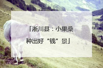 淅川县：小果桑种出好“钱”景