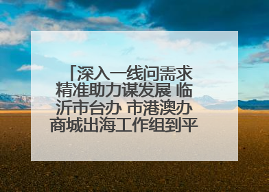 深入一线问需求 精准助力谋发展 临沂市台办 市港澳办商城出海工作组到平邑县走访调研