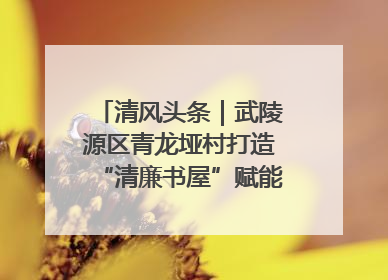 清风头条｜武陵源区青龙垭村打造“清廉书屋”赋能乡村振兴新风尚