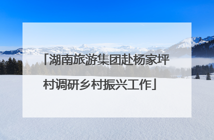 湖南旅游集团赴杨家坪村调研乡村振兴工作