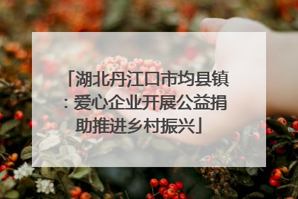 湖北丹江口市均县镇：爱心企业开展公益捐助推进乡村振兴