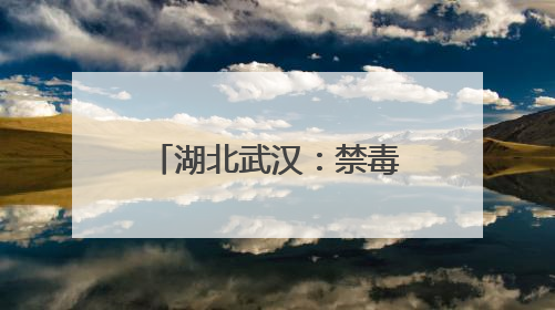 湖北武汉：禁毒宣传走进火车站