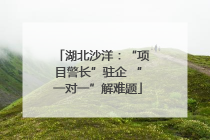 湖北沙洋：“项目警长”驻企 “一对一”解难题