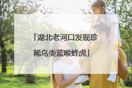 湖北老河口发现珍稀鸟类蓝喉蜂虎