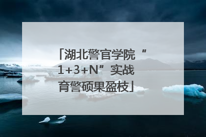 湖北警官学院“1+3+N”实战育警硕果盈枝