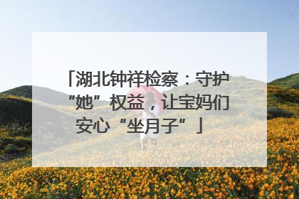 湖北钟祥检察：守护“她”权益，让宝妈们安心“坐月子”
