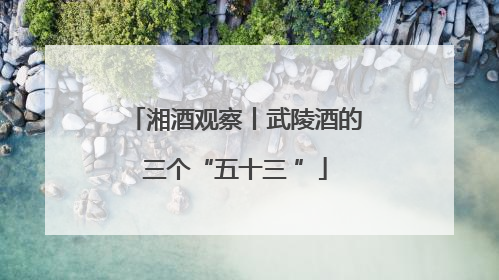 湘酒观察丨武陵酒的三个“五十三 ”
