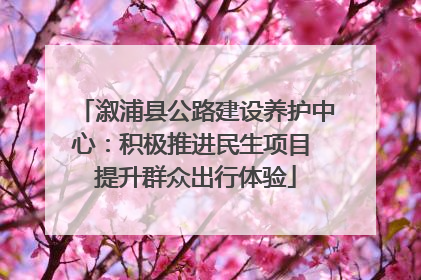 溆浦县公路建设养护中心：积极推进民生项目 提升群众出行体验