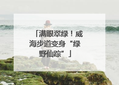 满眼翠绿！威海步道变身“绿野仙踪”