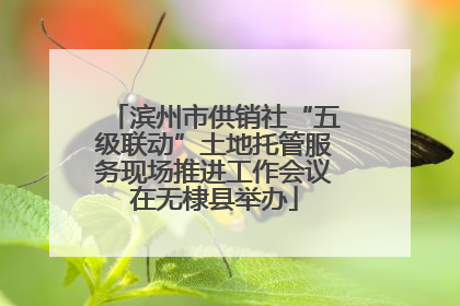 滨州市供销社“五级联动”土地托管服务现场推进工作会议在无棣县举办