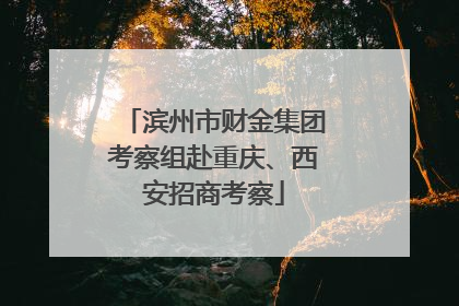 滨州市财金集团考察组赴重庆、西安招商考察