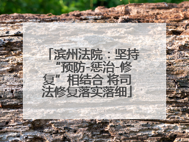 滨州法院：坚持“预防-惩治-修复”相结合 将司法修复落实落细