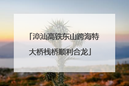 漳汕高铁东山跨海特大桥栈桥顺利合龙