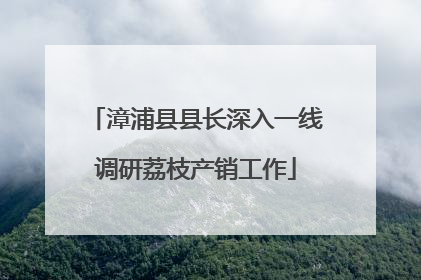 漳浦县县长深入一线调研荔枝产销工作