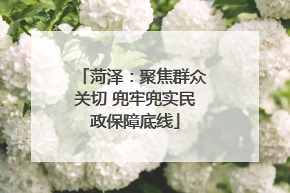 菏泽：聚焦群众关切 兜牢兜实民政保障底线