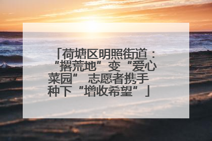 荷塘区明照街道：“撂荒地”变“爱心菜园” 志愿者携手种下“增收希望”