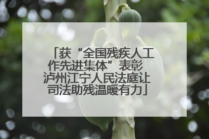 获“全国残疾人工作先进集体”表彰 泸州江宁人民法庭让司法助残温暖有力