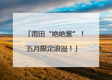 莆田“绝绝紫”！五月限定浪漫！