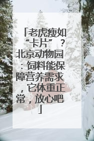 老虎瘦如“卡片”？北京动物园：饲料能保障营养需求，它体重正常，放心吧